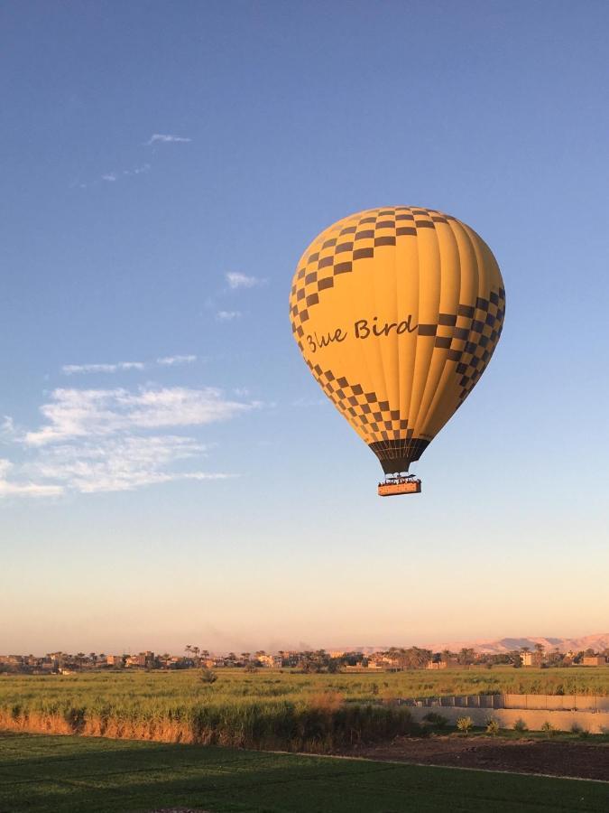 New Memnon Hotel Luksor Dış mekan fotoğraf